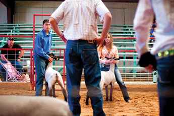 Kaitlyn LaRue, right, and Kyle Candelario hold their animals for judging during the lightweight lamb category of the Bi-County Fair in Prewitt Friday. © 2011 Gallup Independent / Cable Hoover